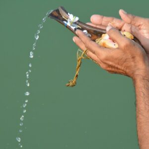 Tarpan in Gaya